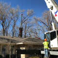 Structurally Unsound Trees: When to Remove and Tips for Doing So