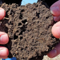 Understanding Soil Analysis Results