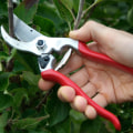 Tools and Equipment for Pruning Trees
