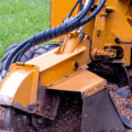 Stump Grinding: Everything You Need to Know