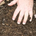 Soil Testing for Trees: A Comprehensive Overview