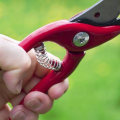 Safety Tips for Pruning