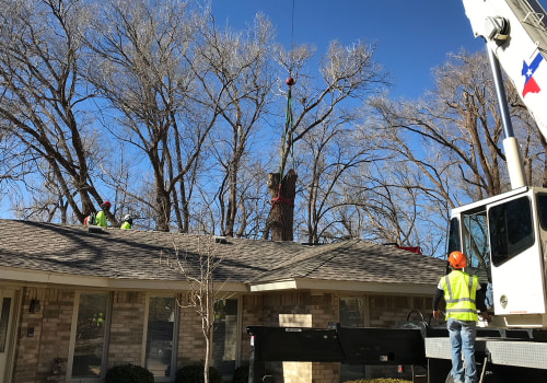 Structurally Unsound Trees: When to Remove and Tips for Doing So