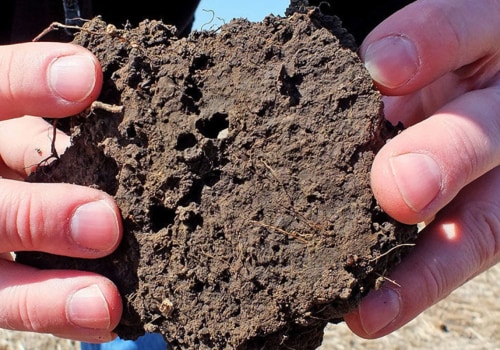 Understanding Soil Analysis Results