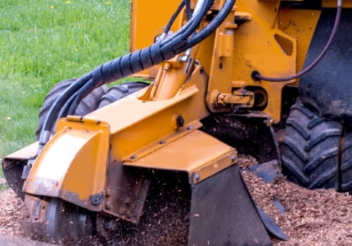 Stump Grinding: Everything You Need to Know