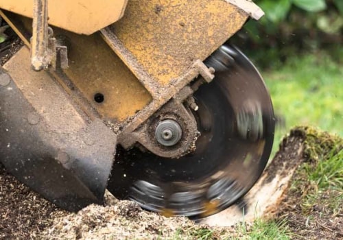 Tips on Controlling Debris During Stump Grinding